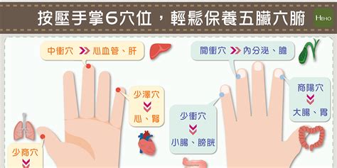 手指代表器官|按壓手掌6穴位，輕鬆保養五臟六腑